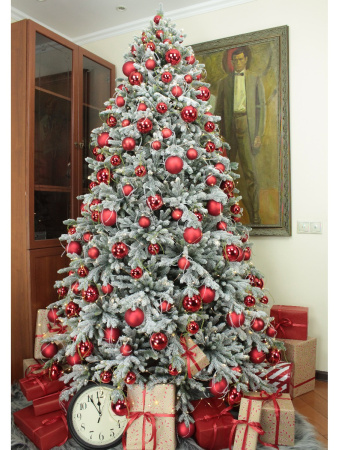 Изумрудная заснеженная_2_