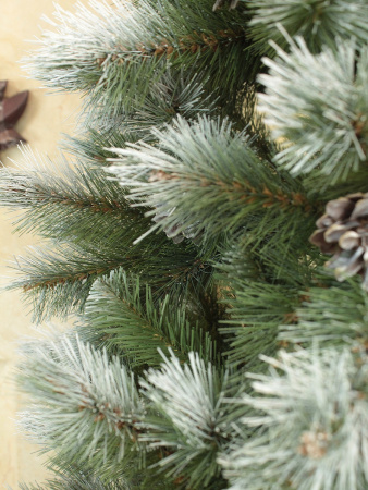 Леруа Кронштадтская (10)