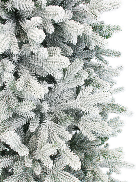 Агнес заснеженная побег_2_мал