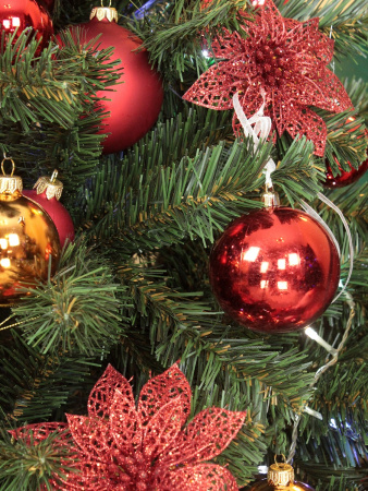 Звездная 1,5 побег (3)