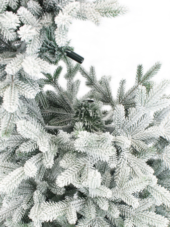 Агнес заснеженная деталь 1_мал