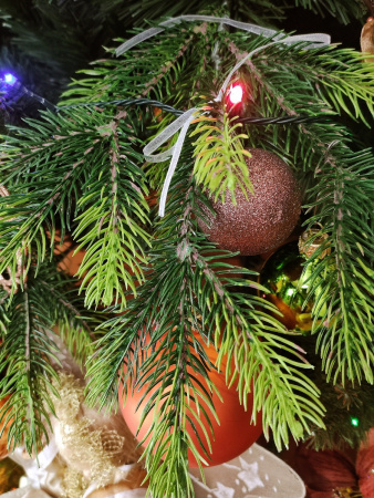 cosmos побег (6)