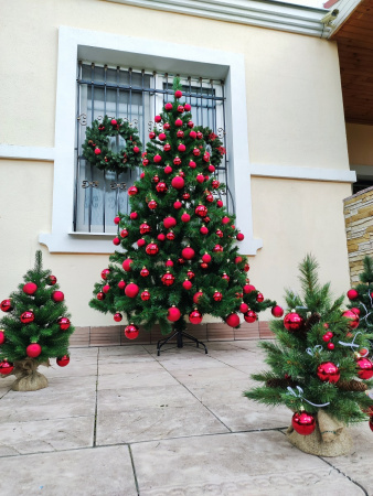 Скандинавская 2,1 (10)