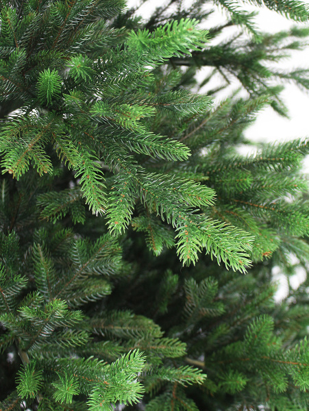 Изумрудная new побег_мал (2)