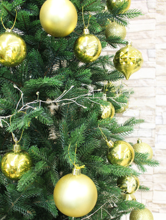 Элис в интерьере побег_3_мал