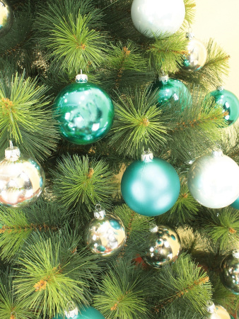 Крыская 180 см (10)