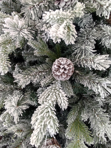 Crystal Queen побег 2_мал