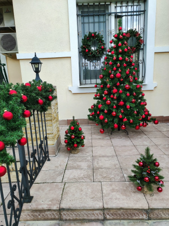 Скандинавская 2,1 (8)