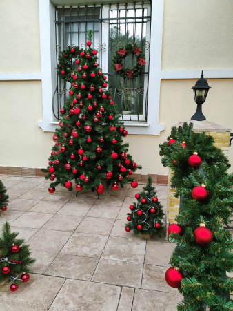 Скандинавская 2,1 (21)