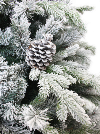 1041221-LGB04GP-BH70-MD_3