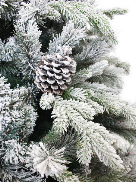 1041218-LGB04GP-BH60-MD_4