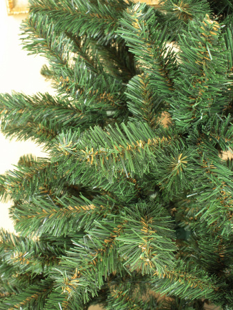 Звездная 1,5 побег (1)