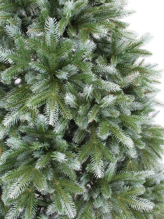 Ариэль побег_2_мал