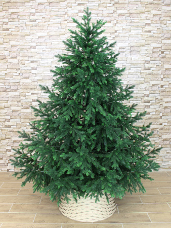 Пальмира раскидистая в интерьере_2_мал