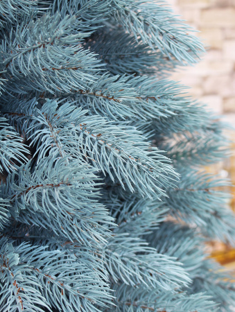 Монблан в интерьере_4_мал