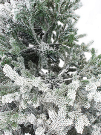 Берта Заснеженная деталь_мал