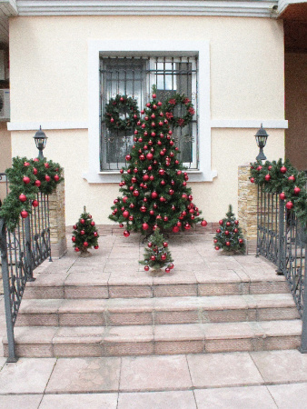 Скандинавская 2,1 (12)