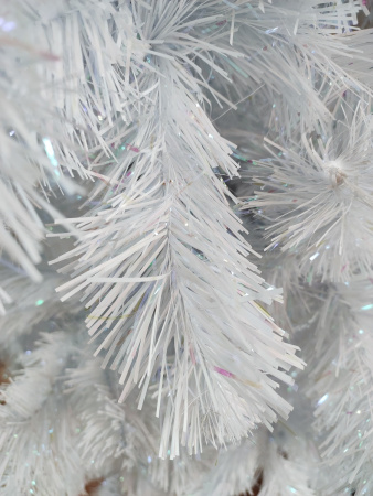 Радужная 2,1 побег (1)