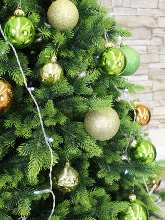 Андромеда в интерьере побег_2_мал