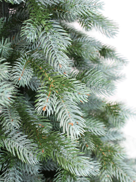 Монреаль побег_мал