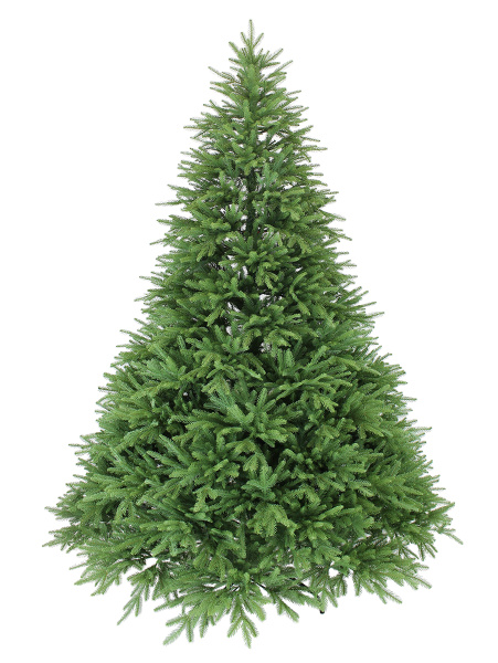 California 240 см _ 2_мал