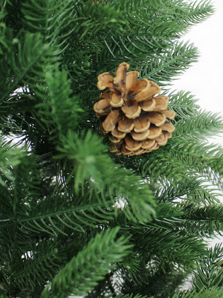 Монтана побег_2 мал Монтана побег_2 мал