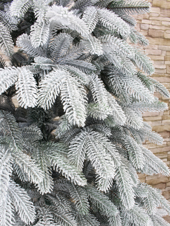 Верона заснеженная побег интерьер_2_мал