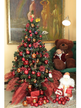 Звездная 1,5 (4)