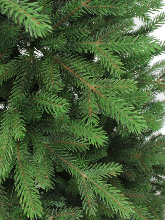 Агнес побег