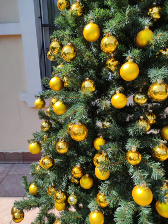 Канадская 240 (30)