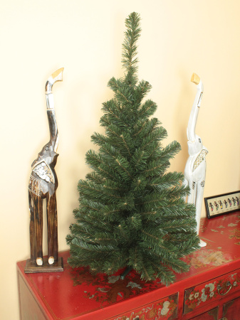 Сибирская 100 (5)