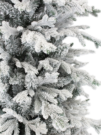 Олимпия 220 (5)_мал