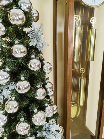 Кипарис 180 см (21)