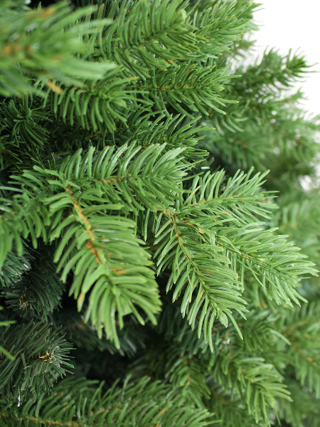 Victoria побег_мал