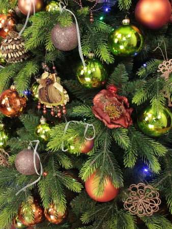 cosmos побег (8)