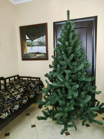 Сибирская 210 (6)_