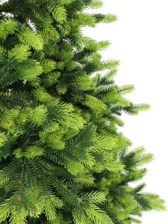 Андромеда побег 1_мал