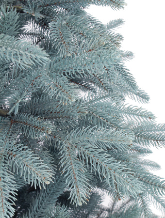 Виола NEW побег_2_мал