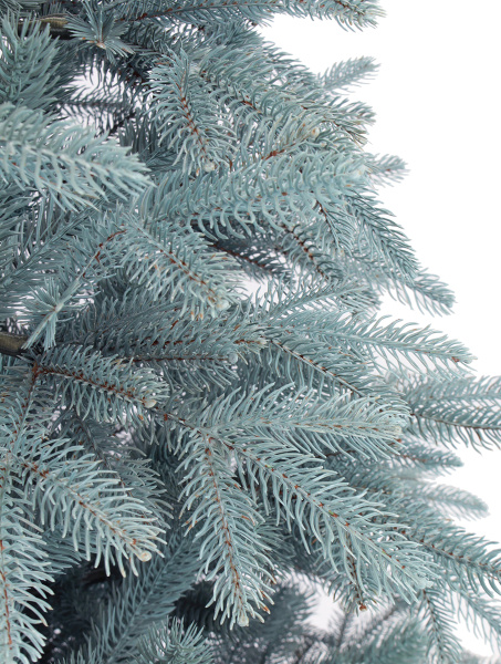 Виола NEW побег_2_мал