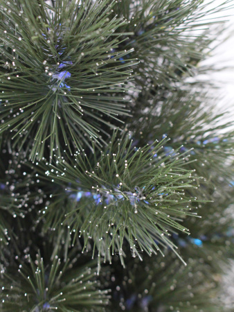 Моника побег_мал