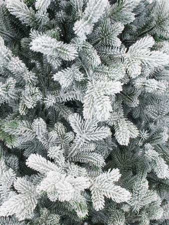 Берта Заснеженная побег_3_мал