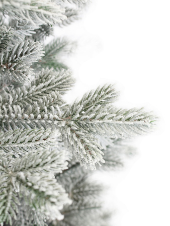 Амалия заснеженная побег_2_мал