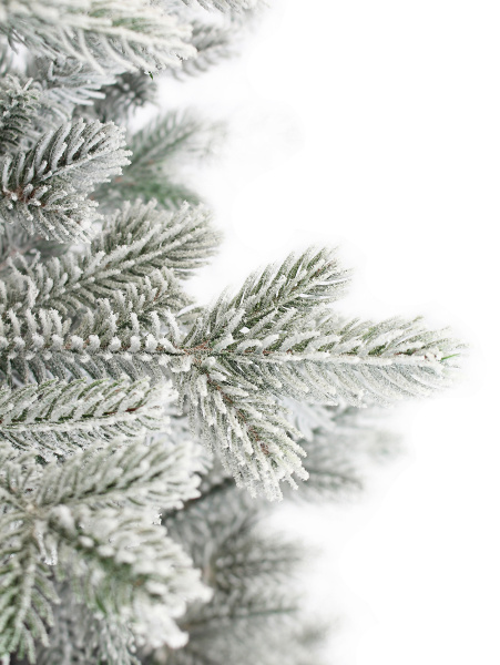 Амалия заснеженная побег_2_мал