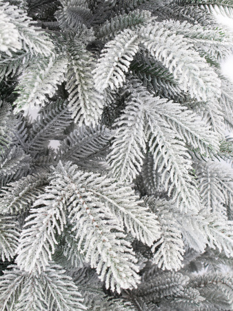 Верона заснеженная побег_мал