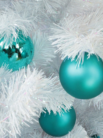 Радужная 2,1 побег (5)