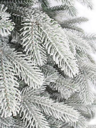 Верона заснеженная побег_2_мал