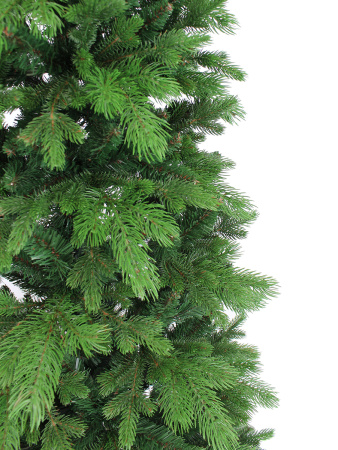 Мишель побег_мал (2)