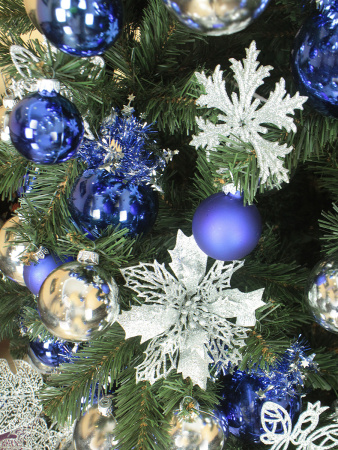 Сибирская 210 (11)_