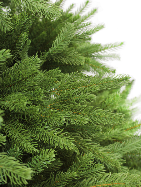 California побег 2_мал