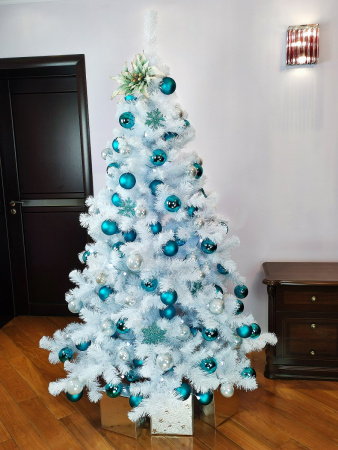 Радужная 2,1 (7)